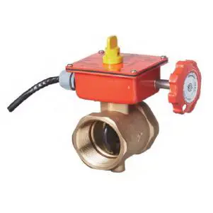 İzlenebilir Kelebek Vana - Dişli, 175 psi